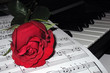 rose on piano music