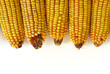 Photo: field corn #2 field corn #2