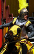cavaliere