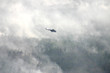 hilicopter