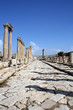 jerash