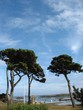 paysage bréhat paysage bréhat