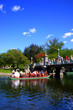 boston public garden boston public garden