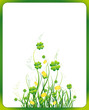 background for st. patrick's day