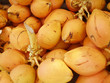 noix de coco noix de coco