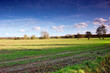 flat landscape