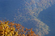 virginia blue ridge