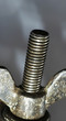 screw