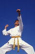 karate