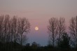 apparition nocture
