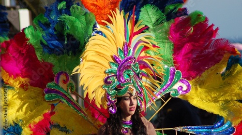pesonnage de carnaval deguisé
