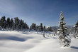winter landscape