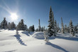 winter scene