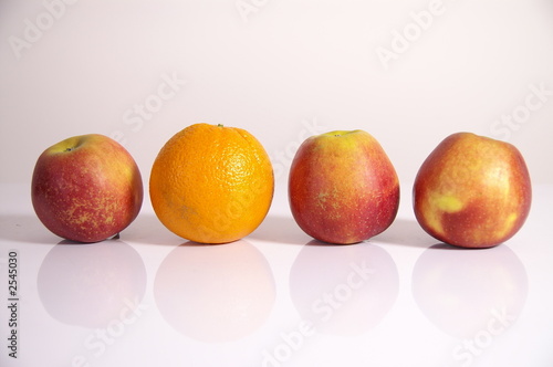 Photo: same but different same but different