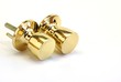 shiny door knobs
