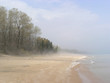 foggy day foggy day