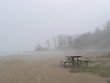 foggy day at the beach foggy day at the beach