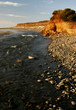 oregon coast portraits oregon coast portraits