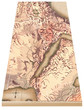 ancient african map