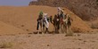 touaregs descendant de chameau