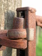 rust 2