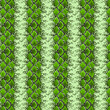 serpent