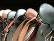 Image : saddles lined up on the fence