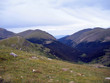 denver rockies 29