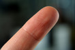 finger