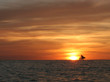 canvas print picture night sail