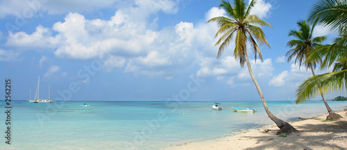 tropical beach