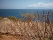 sicile