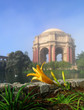 Photo: close-up of lily at the palace of fine arts close-up of lily at the palace of fine arts