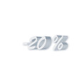 20 %