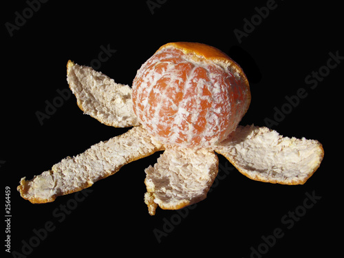 partially peeled satsuma orange