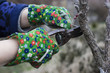 garden tools
