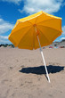 parasol