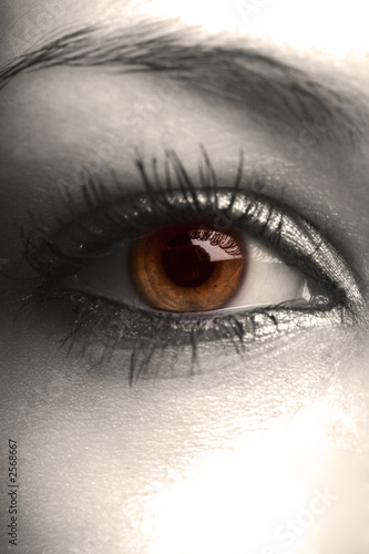 Photo: hazel eye hazel eye