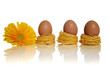 oeufs dans le nid oeufs dans le nid