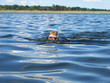 Abtauchen In Seidenwasser
