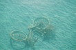 Foto: fahrrad im see fahrrad im see
