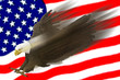 Illustration: flying eagle & us flag flying eagle & us flag