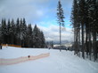skiing and snow at carpathians