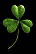 clover leaf