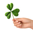 saint patrick's day