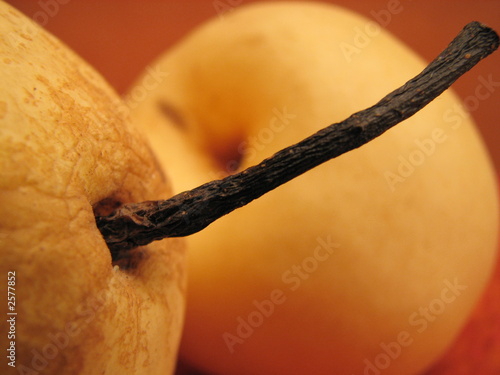 Photo: pears pears