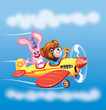 airplane
