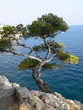 provence 01