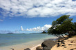 paradise beach paradise beach