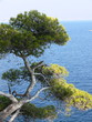 provence 03